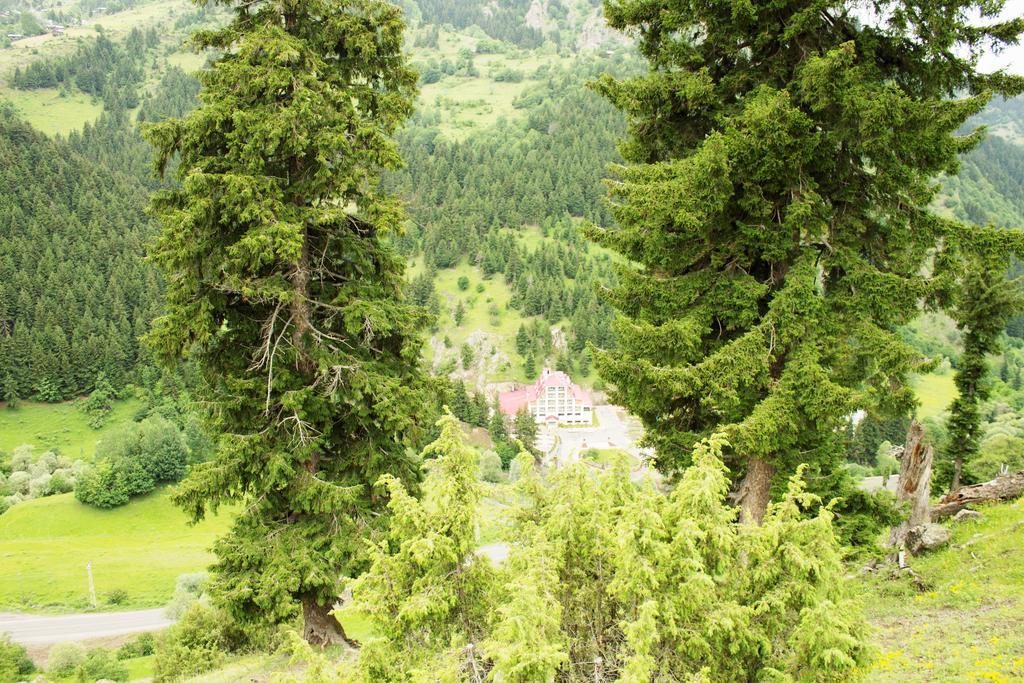Hotel Green Valley Savsat Eksteriør billede