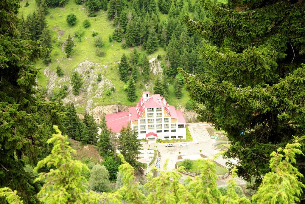 Hotel Green Valley Savsat Eksteriør billede